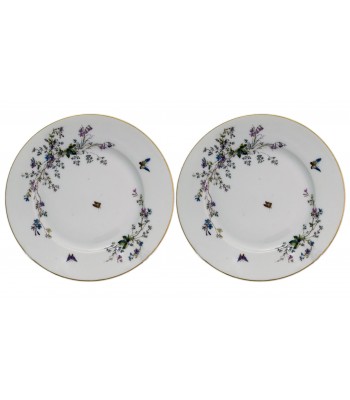 Pratos rasos com borboletas porcelana francesa Limoges CFH/GDM